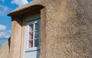 Durlock thatch roof disadvantages